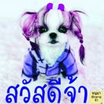 Profile Picture of Huttie (@huttie2558) on Instagram