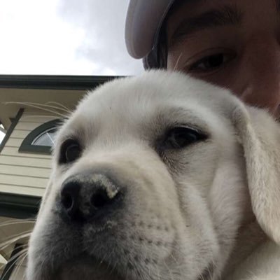 Profile Picture of Kevin Zook (@KevinZook) on Twitter