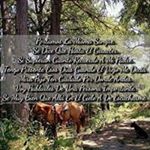 Profile Picture of Rene Gauna (@rene.gauna.71) on Instagram