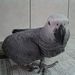 Profile Picture of Peggy Yeh (@yayaya0114) on Pinterest