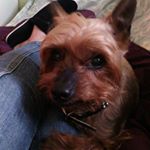 Profile Picture of Isabelle Leger (@leger8361) on Instagram