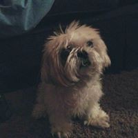 Profile Picture of Pam Randolph (@pam-randolph-3) on Quora