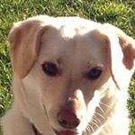 Profile Picture of Patrick Sartori (@patricksart24) on Instagram