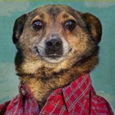 Profile Picture of Casey Hamel (@CaseyHamel5) on Twitter