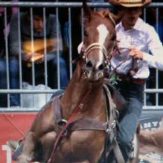 Profile Picture of Antonella Evangelista (@antonella.evangelista.31) on Facebook