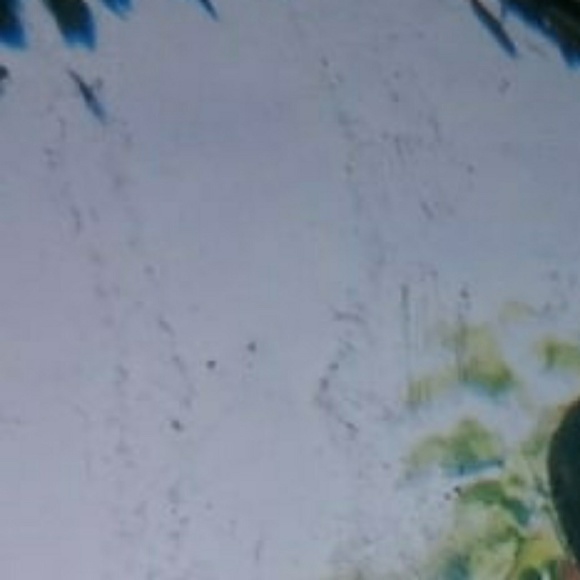 Itzel Castro - Poshmark Profile Picture of Itzel Castro (@itxell67) on Poshmark