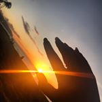 Profile Picture of kelsie coqueugniot (@kelsiecoqueugniot_50) on Instagram