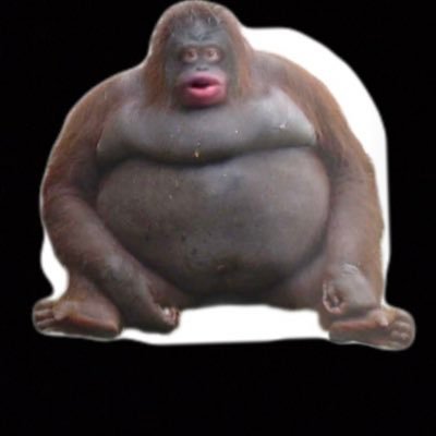 Profile Picture of Kyle Borg (@kyleborg7) on Twitter