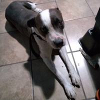 Profile Picture of Vicente Cisneros (@vicente-cisneros-7) on Quora