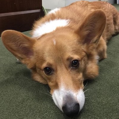 Profile Picture of Dan Keylin (@dankeylin) on Twitter