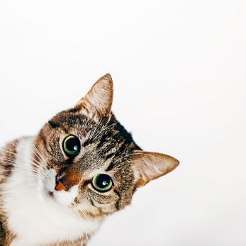 Profile Picture of poveracci (@poverxqzl5j) on Tiktok