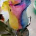 Profile Picture of Ajay Sinha (@ajaynidhi0915) on Pinterest