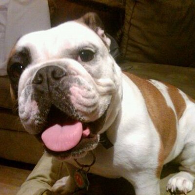 Profile Picture of Grace Kelly Cordova (@GraceKellyRC) on Twitter