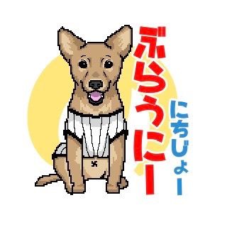 Profile Picture of ブラウニー (@brownie_810) on Tiktok