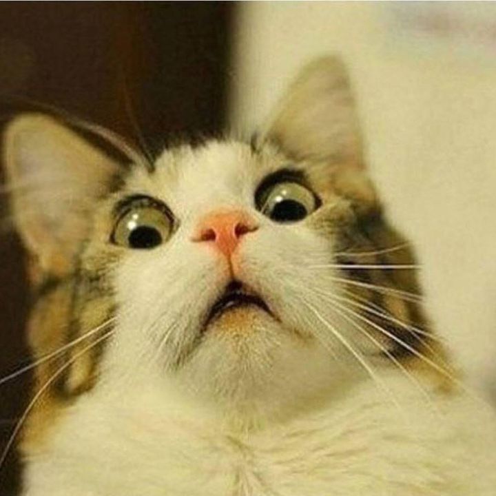 Profile Picture of al leonard romero (@alleonard6) on Tiktok