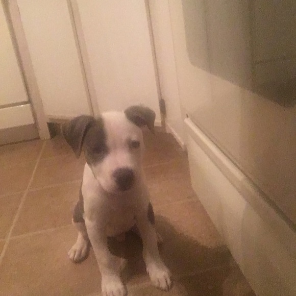 Profile Picture of Maurice Jones (@mauricejones942) on Poshmark