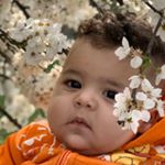 Profile Picture of Hamid zadeh Hoseini (@hamid_zadeh_hoseini) on Instagram