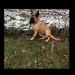 Profile Picture of Gage Allen Jarrell (@gageallenjarrell) on Instagram