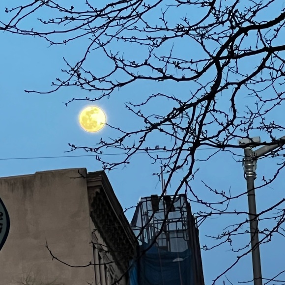 Profile Picture of Mercedes Cucolo (@mcucolo57) on Poshmark