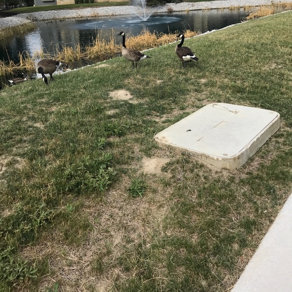 Profile Picture of Dylan Burris (@dylsauce) on Poshmark