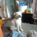Profile Picture of Robert Larocque (@robert.larocque.1656) on Facebook