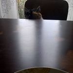 Profile Picture of David Boulet (@leboulet444) on Instagram