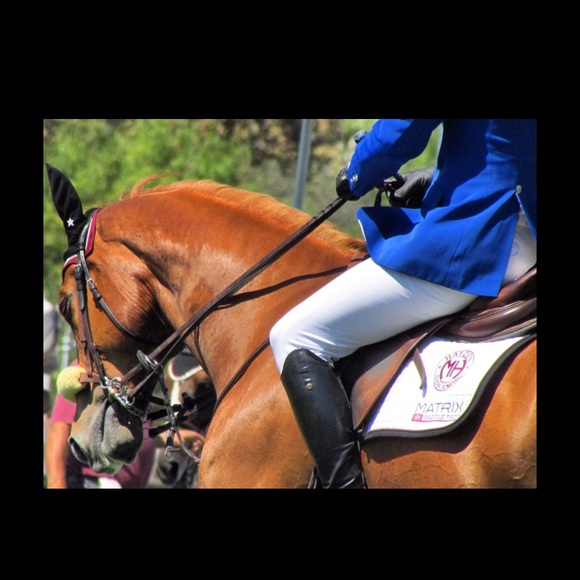 Profile Picture of Mia Pecorella (@miapecorellllla) on Poshmark