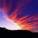 Profile Picture of Tim Brinkerhoff (@stbrinkerhoff) on Pinterest