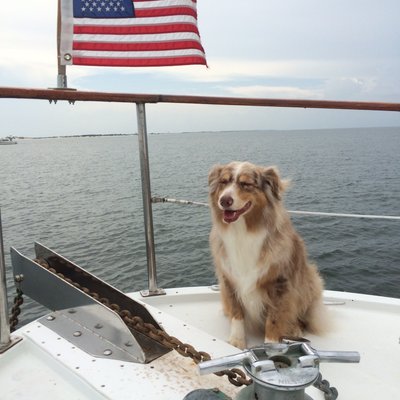 Profile Picture of Gerald “Jerry” Henley Jr (@JerryHenley8) on Twitter