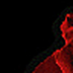 Profile Picture of ahmed shaaban (@ahmed_safaa57) on Flickr