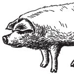 Erik and Vanessa - Instagram Profile Picture of Erik and Vanessa (@badwolfbbq) on Instagram