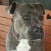 Profile Picture of Ray Thornton (@ray.thornton.1806) on Facebook
