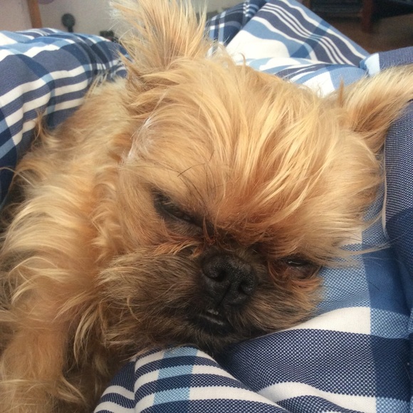 Profile Picture of Simone Guillory (@simarisse) on Poshmark