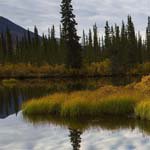 Profile Picture of KarlVaughn (@karlvaughnz) on Instagram