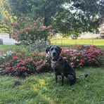 Profile Picture of Chris Parmelee (@chris.parmelee.16) on Facebook