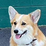 Profile Picture of N Rowland (@nrowland4103) on Youtube