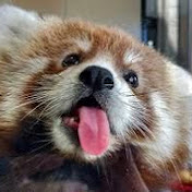 Profile Picture of Justin Adams (@justinadams3402) on Youtube