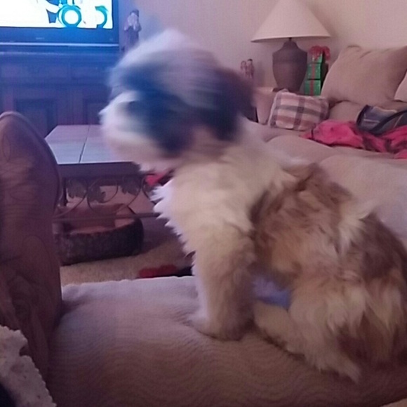 Profile Picture of Minday Smith (@ranmin) on Poshmark