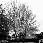 Profile Picture of Tubby & Danny (@tubbyanddanny) on Instagram