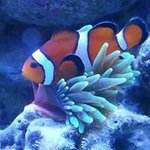 Profile Picture of Jeremy Tarter (@tarterjeremy) on Instagram