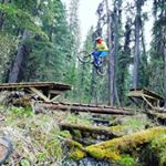 Profile Picture of Eric Faubert (@dh_bear) on Instagram