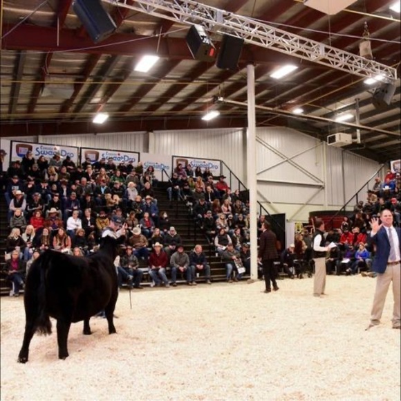 Profile Picture of John Hogberg (@jhogberg) on Poshmark