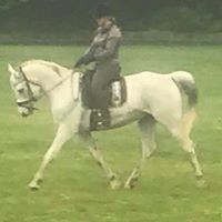 Profile Picture of Dawn Fenton (@dawn-fenton-5) on Quora