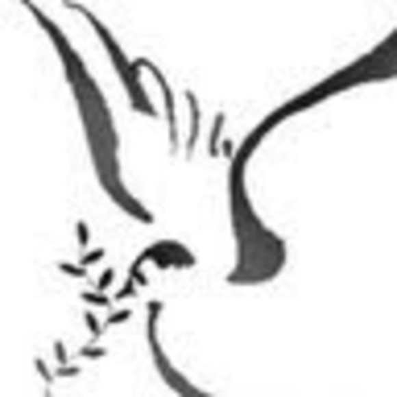 Profile Picture of Beth Fighera (@bethfighera) on Poshmark