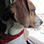 Profile Picture of Diego Mauricio Leon Castellanos (@diegoLeonc) on Flickr