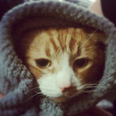 Profile Picture of Eric Eldredge (@qubesicle) on Twitter