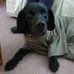 Profile Picture of John Cairns (@john.cairns.790) on Facebook