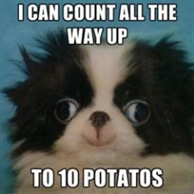 Profile Picture of Lenny Alvarez (@LennyBrownA) on Twitter