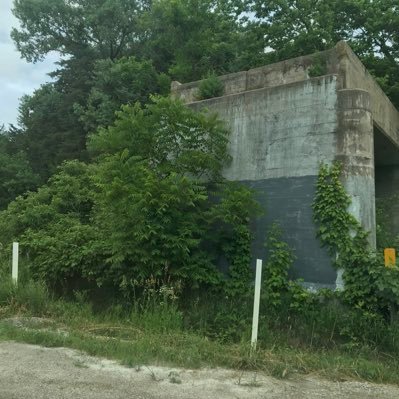 Profile Picture of Mike Hunt (@JeffWeidenbach) on Twitter