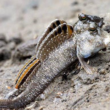 Profile Picture of Trương Thị Hoa Lài (@hero_lai7891) on Twitter